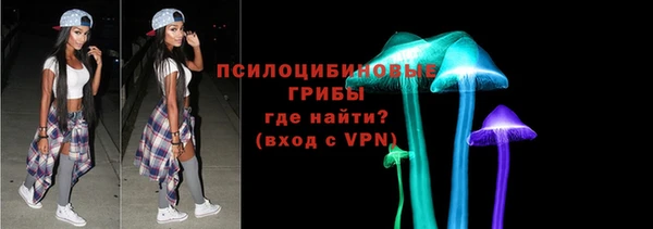 гашик Верхний Тагил