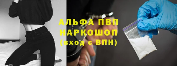амф Бородино