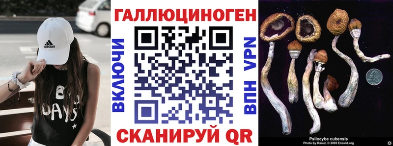 Псилоцибиновые грибы Magic Shrooms  Купить  Вышний Волочёк 